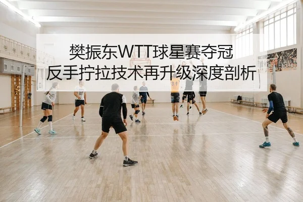 樊振东WTT球星赛夺冠 反手拧拉技术再升级深度剖析